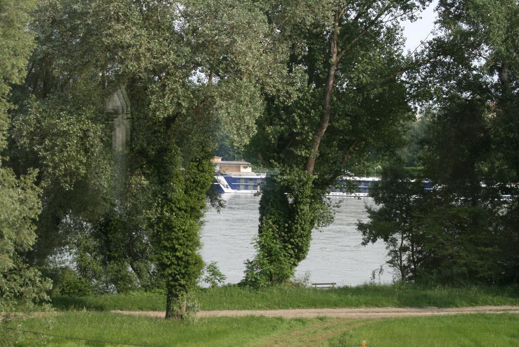 Gaestehaus Egger Emmersdorf an der Donau Exterior foto